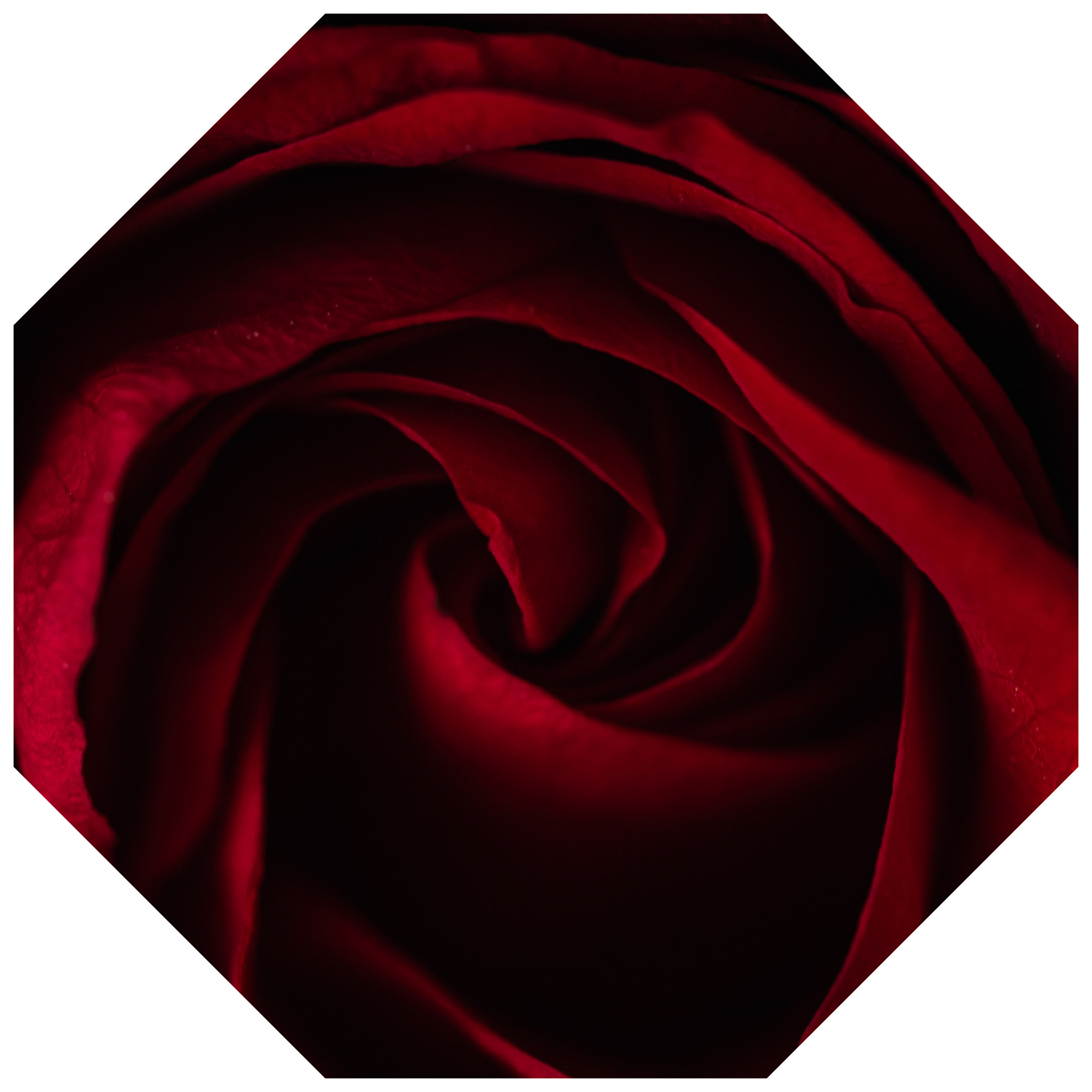 CYREH · REDDA