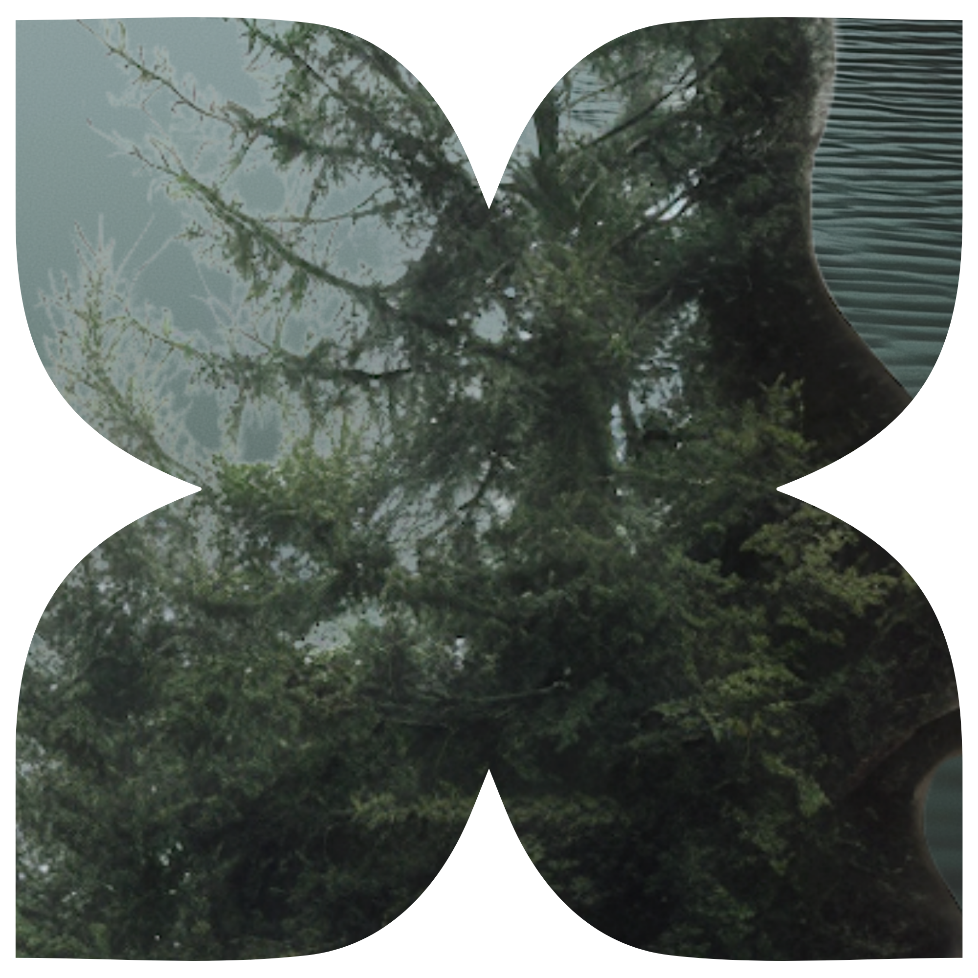 CYREH · SINATA